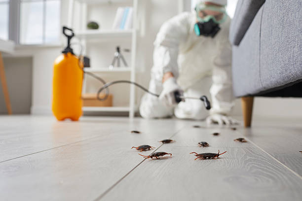 Trusted Fumigation Services service in Cross Lanes, WV - Nex Pest Control