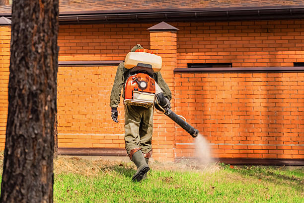 Trusted Mosquito Control service in Cross Lanes, WV - Nex Pest Control